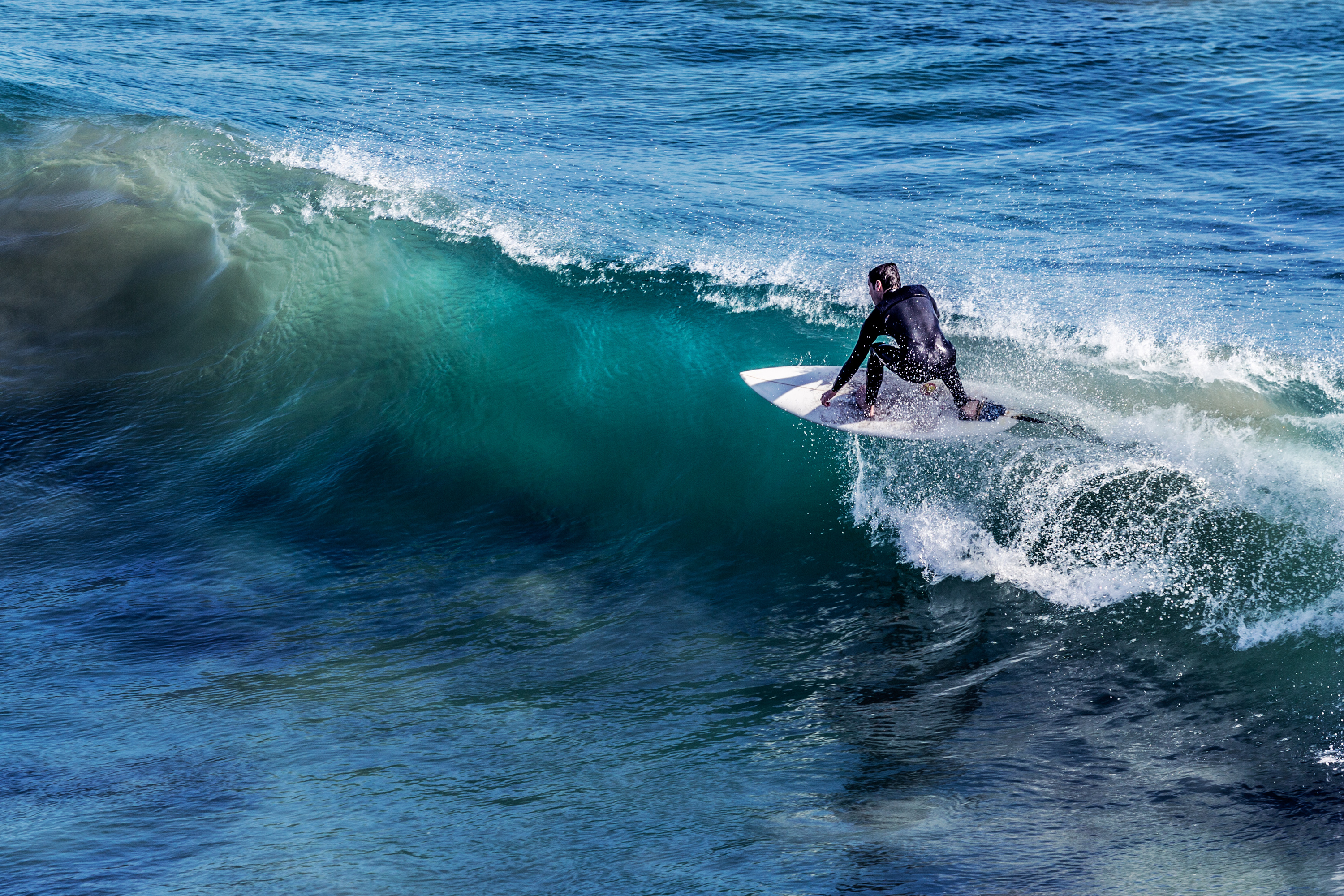recreational surfer enjoying a wave on the edge of Point Dume SMR